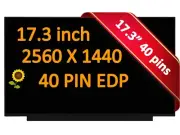 240Hz 17.3" WQHD Laptop lcd Screen ASUS ROG Strix G17 G713PU G713PI G713PV