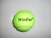 在飛比找Yahoo!奇摩拍賣優惠-【線上體育】WINFAR 散裝硬式網球