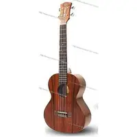 在飛比找蝦皮購物優惠-亞洲樂器 Pukanala Ukulele PU-AKT 2