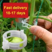 300PCS Tomato Veggie Garden Plant Support Clips Trellis Twine Greenhouse