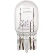 Duo Tint, Tail Light Bulb #7444