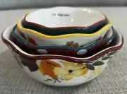 NEW Pioneer Woman Autumn Harvest Nesting Measuring Cups Bowls Stoneware