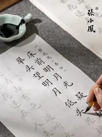 在飛比找樂天市場購物網優惠-上林賦臨摹字帖手抄本鋼筆式毛筆書法初學者入門描紅軟筆練字練習