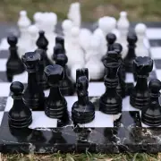 Unique Black Zebra & White Stone Chess Pieces Weighted Pro Marble No Board
