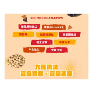 美國Beanfields豆氏三角大豆脆片/ 切達起司酸奶油/ 156g eslite誠品