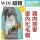 ★WDJ★紐頓．I17室內化毛貓 (雞肉+燕麥)【1.13KG】狗族文化村