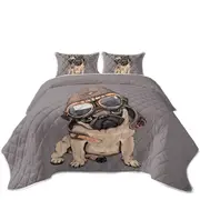 Cool Pilot Pug Coverlet