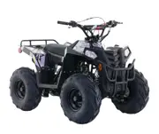 Apollo RFZ Commander 110cc Junior Quad Bike - Black