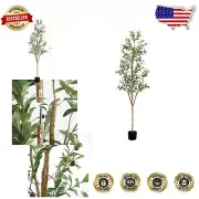 6FT Artificial Olive Tree with Bendable Branches - Mediterranean Indoor Decor