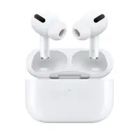 在飛比找蝦皮購物優惠-（正品）蘋果Apple-AirPods Pro2