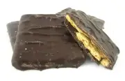 Cinnamon Graham Crackers, Dark Chocolate Covered 1lb