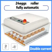 Egg Incubator Home Automatic Temperature Humidity Control 4 24 36 64 Eggs Can