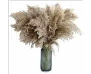 Pampas Reed Natural Dried Flowers Brown Bouquet Pampas Reed Dried Flowers Boho Home Living Room Wedding 60cm Natural Dried Flowers