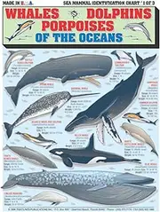 Sea Mammal Identification #1 (Whales, Dolphins, and Porpoises) - Waterproof Quick Reference Guide | Portable & Built to Last | Double-Sided & Easy to Read | (Size, Weight, and Location)