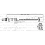 PAT Oxygen Sensor - EGO-307