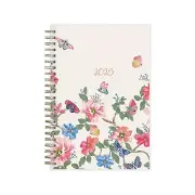 2025 Blue Sky Fly By 5" x 8" Weekly & Monthly Planner Plastic Cover Multicolor