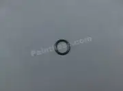 Titan Wagner 0089518 or 89518 O-Ring - OEM