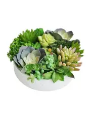 [Vicky Yao] Artificial succulents Arrangement