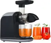 Juicer Machines, Cold Press Slow Juicer, Masticating Juicer for Whole Fruits and Vegetables, Delicate Chew, BPA Free Juice Extractor with 2 Cups and Brush