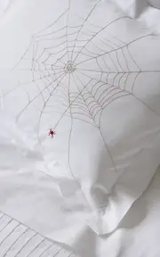 [Laila Gohar x VIS-A-VIS Paris] Boudoir Pillow Case "Spider Web"