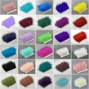 120Color 10 Meter Ostrich Feather Trims 8-15cm/3-6inch Fluffy PlumasFor Clothing