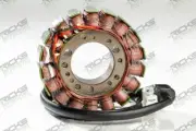Ricks Stator For Ducati 996 SPS 2000