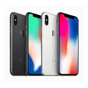 Apple iPhone X (64G)-福利品