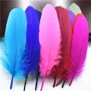 Wholesale Hard Pole Natural Goose Feathers Crafts Plumes 5-7inch/13-18cm Feather