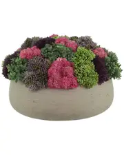 Creative Displays Sedum Arrangement in Fiberstone Planter