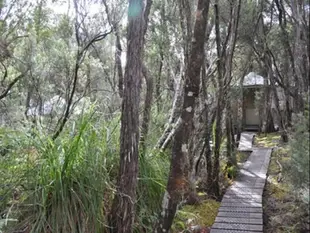 塔斯曼尼亞西南野外營地Southwest Wilderness Camp Tasmania