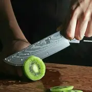 Utility Knife 67 Layers Damascus Steel VG10 Core Full Tang Wood Handle Slicing M
