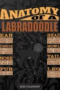 在飛比找博客來優惠-Anatomy Of A Labradoodle: Labr