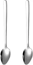 Starvway 2pcs Stainless Steel Grapefruit Spoon Thick Smooth Dessert Spoon with Serrated Cut Fruit Melon Scoop Gadget