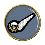 Parachute Jump Instructor Badge, RAF Pin Badge