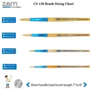 ZEM Classroom Colors Natural Hog Bristle Firm Artist Brush Sets 6 Types