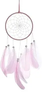 Dream Catcher Dreamcatcher Feather Wall Handmade Braided Wind Chimes for Wall Hanging Car Home Decoration (Color : Pink, Size : Mcode)
