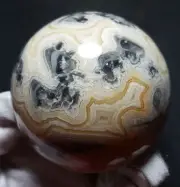 TOP 356G 62MM Natural Polished Crazy Banded Agate Crystal Sphere Ball YT678
