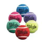 Bulk Tennis Ball Dog Toys Bright Colorful Durable Fun Fetch Chase Chew 2.5 inch