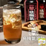 祛梅氣 烏梅氣泡飲【12入組】每罐330ML 0運費 氣泡飲料 解膩 汽水 烏梅汽水 碳酸飲料『WANG』