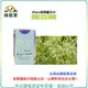 【綠藝家】iPlant易開罐花卉-滿天星2入/組(2入優惠價-單罐85元)