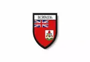 PATCH PATCHES EMBLEM IRON ON GLUE PRINT FLAG world crest bermudas
