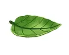 Ceramic Chip and Dip Leaf Design Platter Green