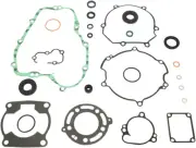 Athena Complete Gasket Kit w/Oil Seals (P400250900065)
