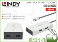 在飛比找Yahoo!奇摩拍賣優惠-數位小兔【LINDY USB3.1 GEN 1 TYPE-C