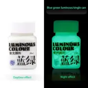 58ML Fluorescent Acrylic Pigment Luminous Pigment Glow in Dark Hand Painted DIY