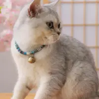 在飛比找蝦皮購物優惠-Pet dog collar cat collar bell