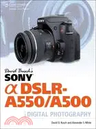 在飛比找三民網路書店優惠-David Busch's Sony Alpha DSLR-