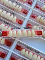 Acrylic Resin False Teeth Accu-tone Anterior Upper A2/66-223 dentures box 120pcs