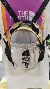 在飛比找Yahoo!奇摩拍賣優惠-THE NORTH FACE BOZER MINI BACK