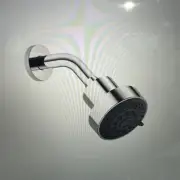 Dornbratch 28508979-000010 Polished Chrome Swivel 1.8 Gpm Shower Head